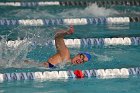 Swimming vs Babson  Wheaton College Swimming vs Babson College. - Photo By: KEITH NORDSTROM : Wheaton, Swimming, Babson